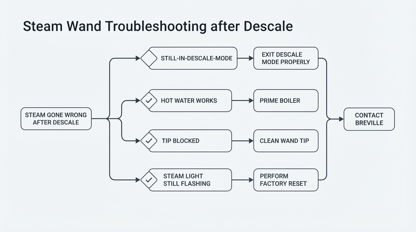 Workflow diagram for breville steam wand not working after descaling.